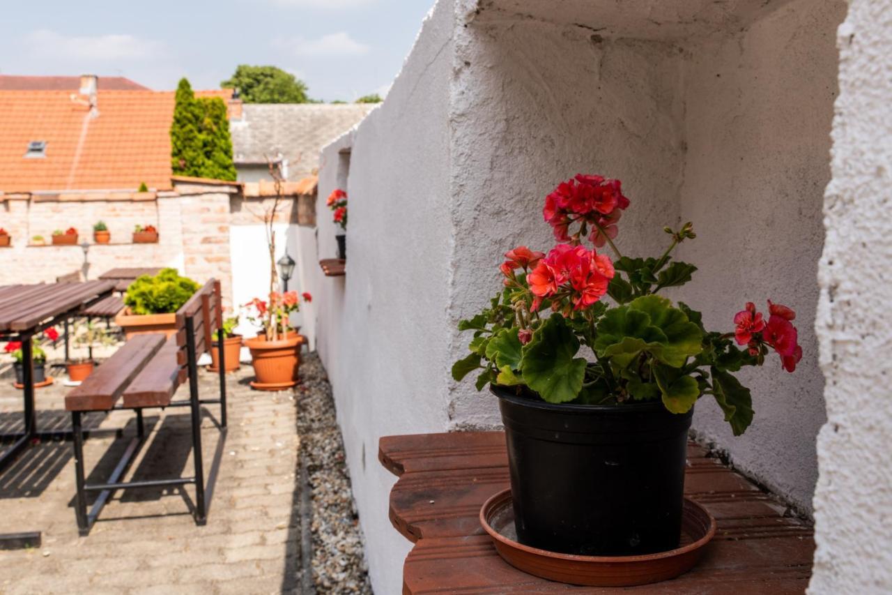 Fenyes Vinorium Bed & Breakfast Sopron Ngoại thất bức ảnh