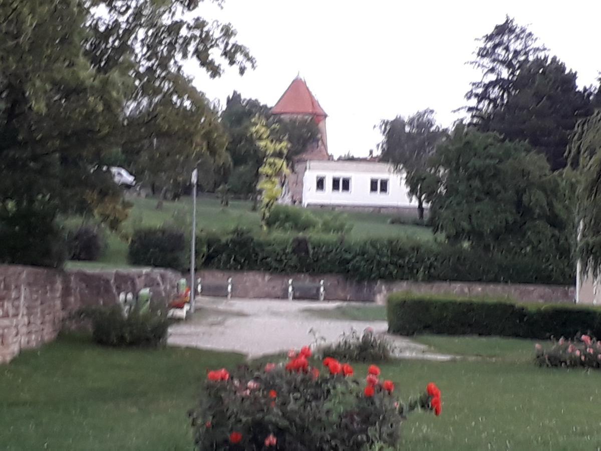 Fenyes Vinorium Bed & Breakfast Sopron Ngoại thất bức ảnh